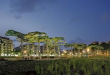 Pinar de Perruquet’s Fiberglass Trees