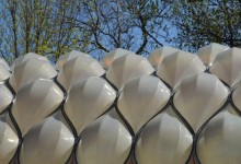 Inspired By Tortoises