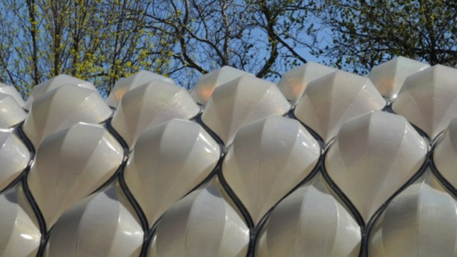 Inspired By Tortoises