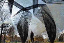 There’s A Reason It Reminds You Of A Lobster