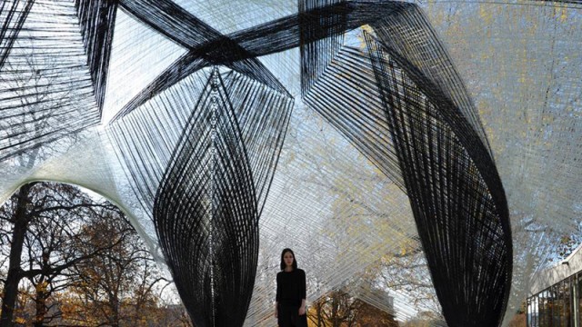 There’s A Reason It Reminds You Of A Lobster